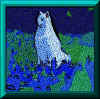 Kodi bluebonnets collage-f.jpg (16058 bytes)