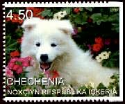 Chechenia - 1999
